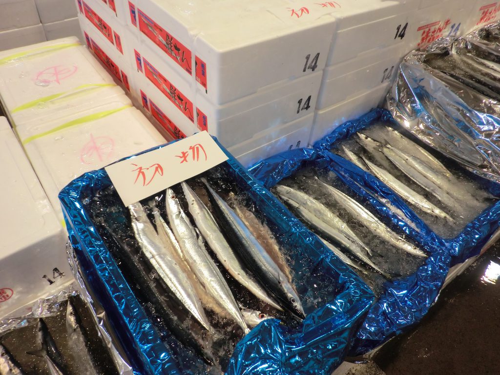 北海道 魚介類 旬