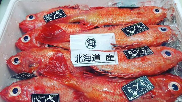 北海道が誇る高級魚 きんきの旬は 秋から春先 水産仕入れ 魚仕入れ ウオス