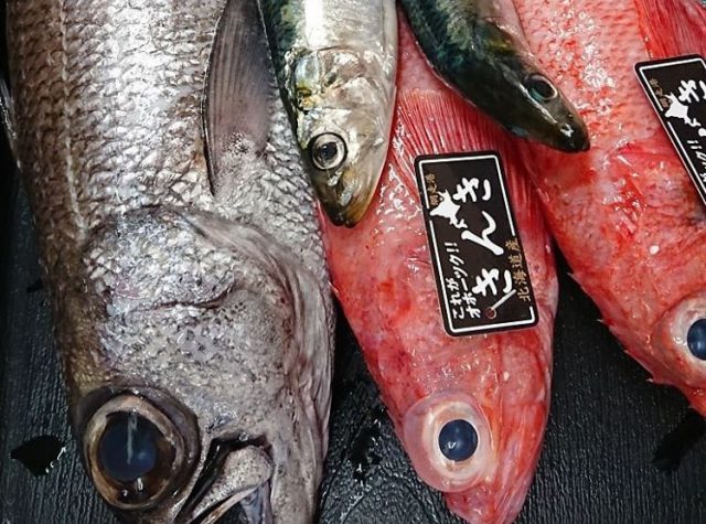 高級魚きんきの値段はいかほど 水産仕入れ 魚仕入れ ウオス