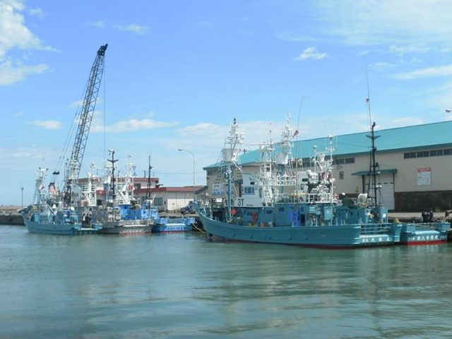 釣りキンキが漁獲される網走がスゴい 日本一旨い 釣りきんき 水産仕入れ 魚仕入れ ウオス