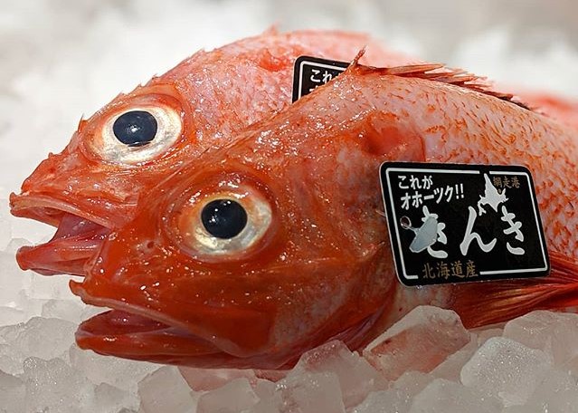 最高級魚 網走産 開き釣きんき大1尾 北海道 魚
