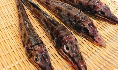 北海道にしかいない魚 水産仕入れ 魚仕入れ ウオス