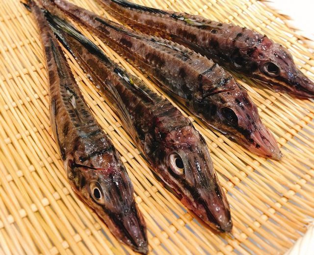 北海道にしかいない魚 水産仕入れ 魚仕入れ ウオス